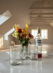 Bicchieri da Bottiglie Campari Edizione 2023 Riciclate