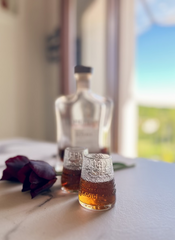 Bicchieri da Bottiglie Campari Soda Riciclate