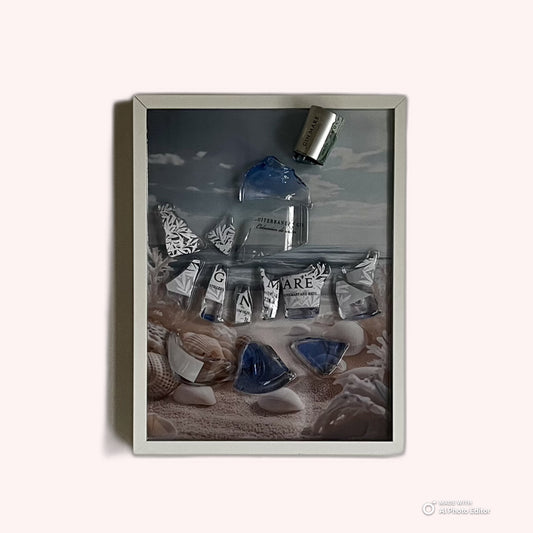 Un mare di conchiglie