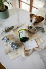 Candela Jack Russell – La Candela Dedicata agli Amanti dei Jack Russell