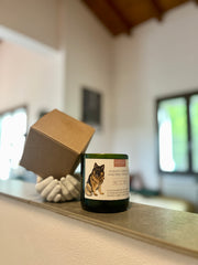 CANdela Pastore Tedesco