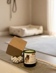 CANdela Pastore Tedesco