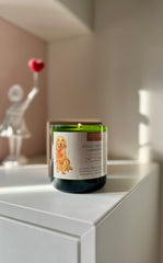 Candela Labrador – La Candela Dedicata agli Amanti dei Labrador