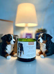 CANdela Bovaro del Bernese