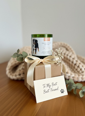 CANdela Bovaro del Bernese