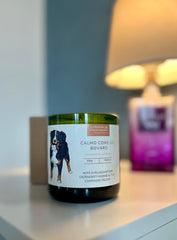 CANdela Bovaro del Bernese