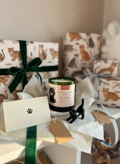 GATdela Come Puoi Non Amarmi?