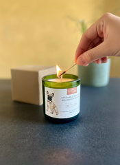 CANdela Bulldog Francese