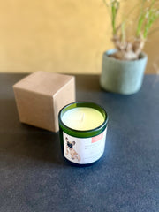 CANdela Bulldog Francese