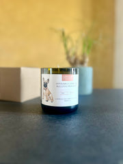 CANdela Bulldog Francese