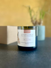 CANdela Bulldog Francese