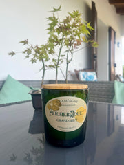 Candela P.Jouet con tappo in legno (incisione personalizzata)
