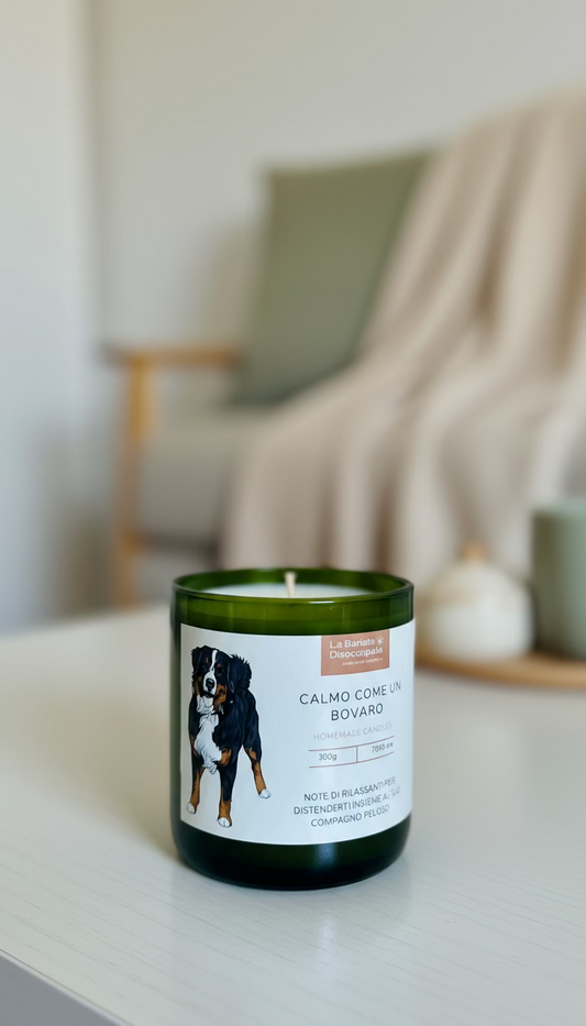 CANdela Bovaro del Bernese