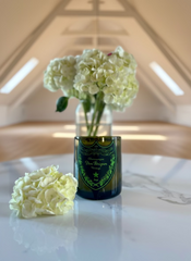 Candela DomP Luminous non funzionante