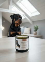 CANdela Rottweiler